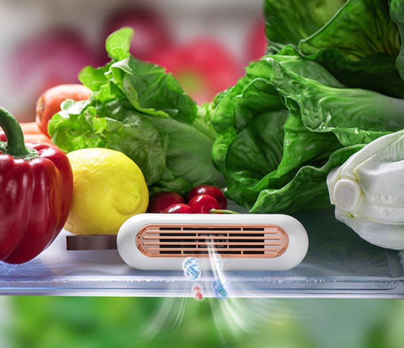 Fridge Deodorizer Air Purifier