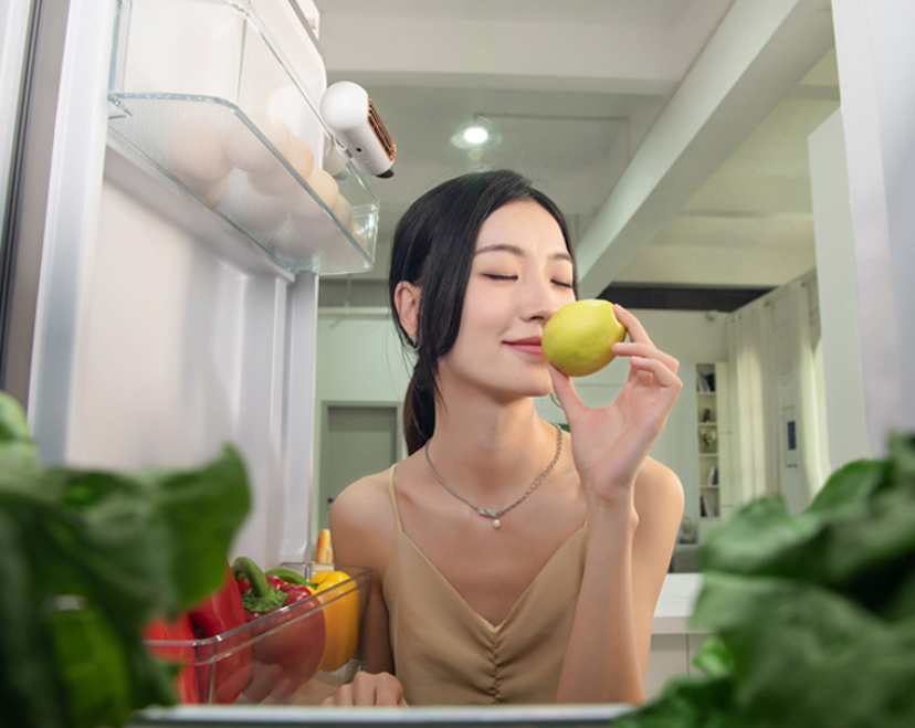 Fridge Deodorizer Air Purifier