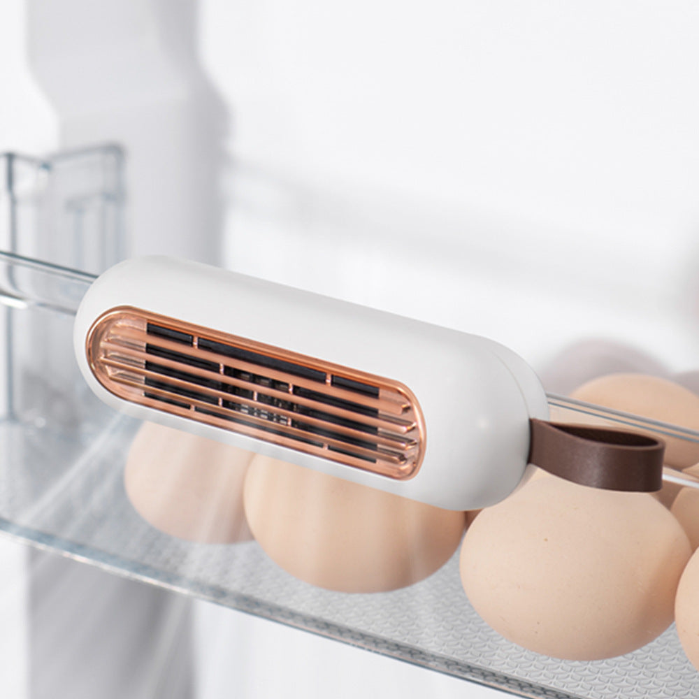 Fridge Deodorizer Air Purifier