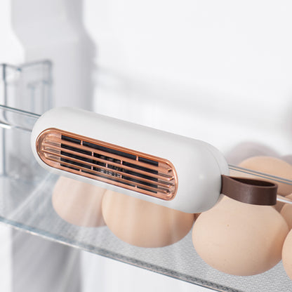 Fridge Deodorizer Air Purifier