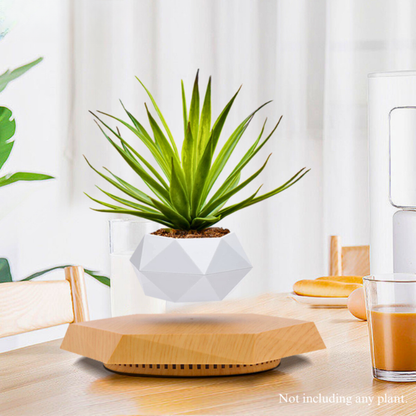 Levitating Magnetic Planter