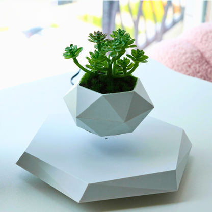 Levitating Magnetic Planter