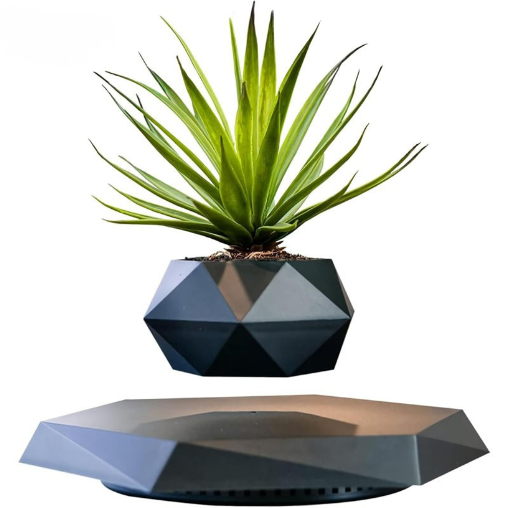 Levitating Magnetic Planter