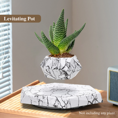 Levitating Magnetic Planter