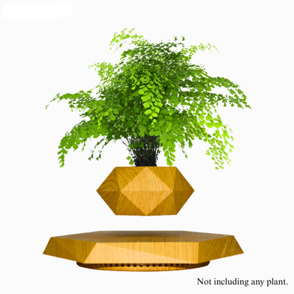 Levitating Magnetic Planter