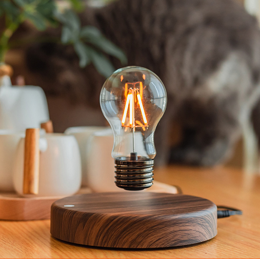 Levitating Light Bulb Lamp