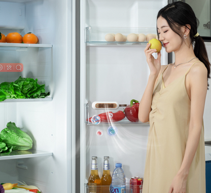 Fridge Deodorizer Air Purifier