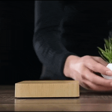 Levitating Magnetic Planter