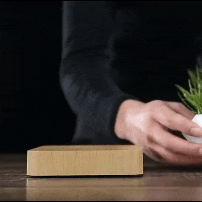 Levitating Magnetic Planter